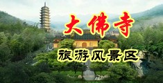 大鸡巴操操黑中国浙江-新昌大佛寺旅游风景区